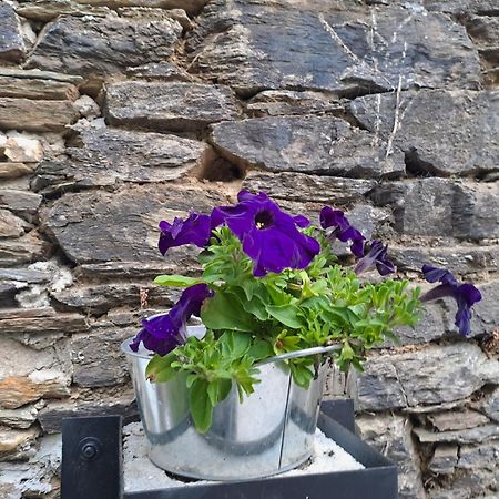 Apartamento Turistico Rural Casa Chain ルーゴ エクステリア 写真