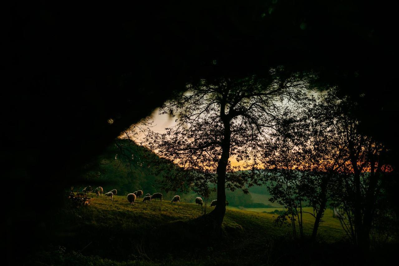 Apartamento Turistico Rural Casa Chain ルーゴ エクステリア 写真